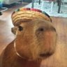 jj's profile picture