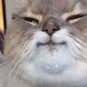 Profilbild von Fluffy B 🍑