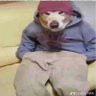 Fabio Quackalacious's profile picture