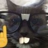 🐱👆 profil fotoğrafı
