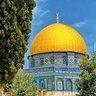 هدايت الله's profile picture