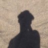 kara's profile picture