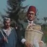 محمد افندي's profile picture