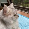 マツ's profile picture