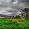 Фото профиля عبدالله