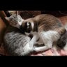 mi_ki 的头像