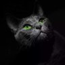 ver's profile picture