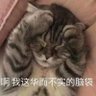 攸宜's profile picture