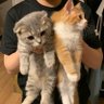 こっちゃん's profile picture