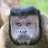 Profilbild von der