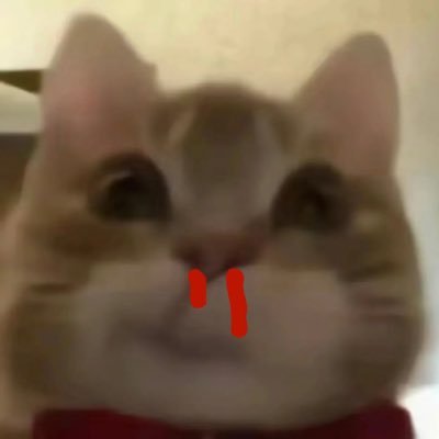 baobaobao268's profile picture