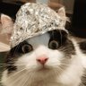 Tim's Foyle Headgear profil fotoğrafı