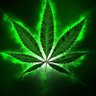 Blazed🔥's profile picture