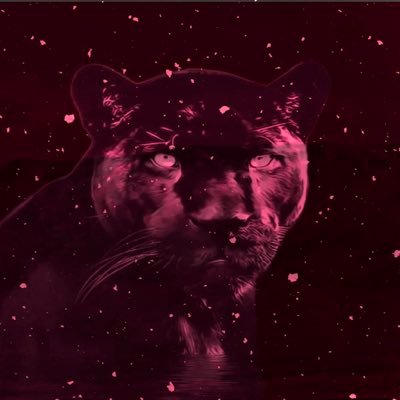 blacUS_heritage's profile picture