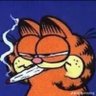 Kilo 的头像