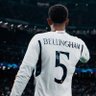 حمود 🦅🇸🇦's profile picture