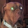 Profilbild von Mike Balfanz
