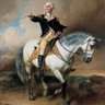 Captain Obvious's profile picture