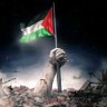 free Palestine 🇵🇸🌱's profile picture