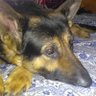 Margauruitte profil fotoğrafı