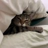 Yatzi's profile picture
