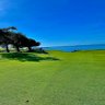 Tony D 🇺🇸⛳️ profil fotoğrafı