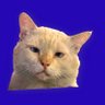 Profilbild von monlèo