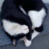 Hiddy on the Black Sea Coast (黒海沿岸に住んでます)'s profile picture