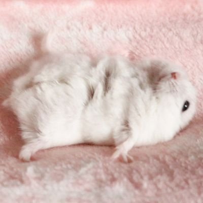 mi_omo614's profile picture