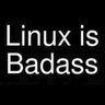 Фото профиля LinuxBadass