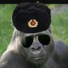 Фото профиля Commie Vegan ☭ⓥ🔻