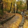 Фото профиля Al-Kattap