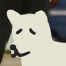 땡땡구's profile picture