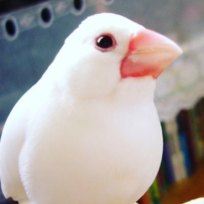 Ʊ˚'s profile picture