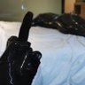 Latex_MARSCH's profile picture