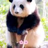 Xuejuan Gong profil fotoğrafı