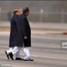 Salman Mamnoon 的头像