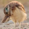 sathish Srinivasan's profile picture