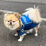 ファイターズミドルガール profil fotoğrafı