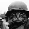 Alex's profile picture