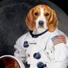 J.M.O's profile picture
