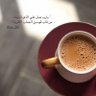 Фото профиля Sahar Nour
