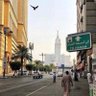مكه حبي والجنه رجائي's profile picture