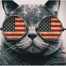 Profilbild von Trumpian Cat Lady