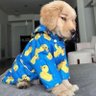Фото профиля Colonel Boomer