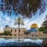 Фото профиля زهور