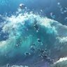 メロン's profile picture