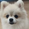 mumyung 的头像