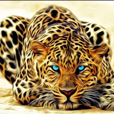 alfaresezeldeen's profile picture