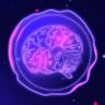 Profilbild von Brain Seal